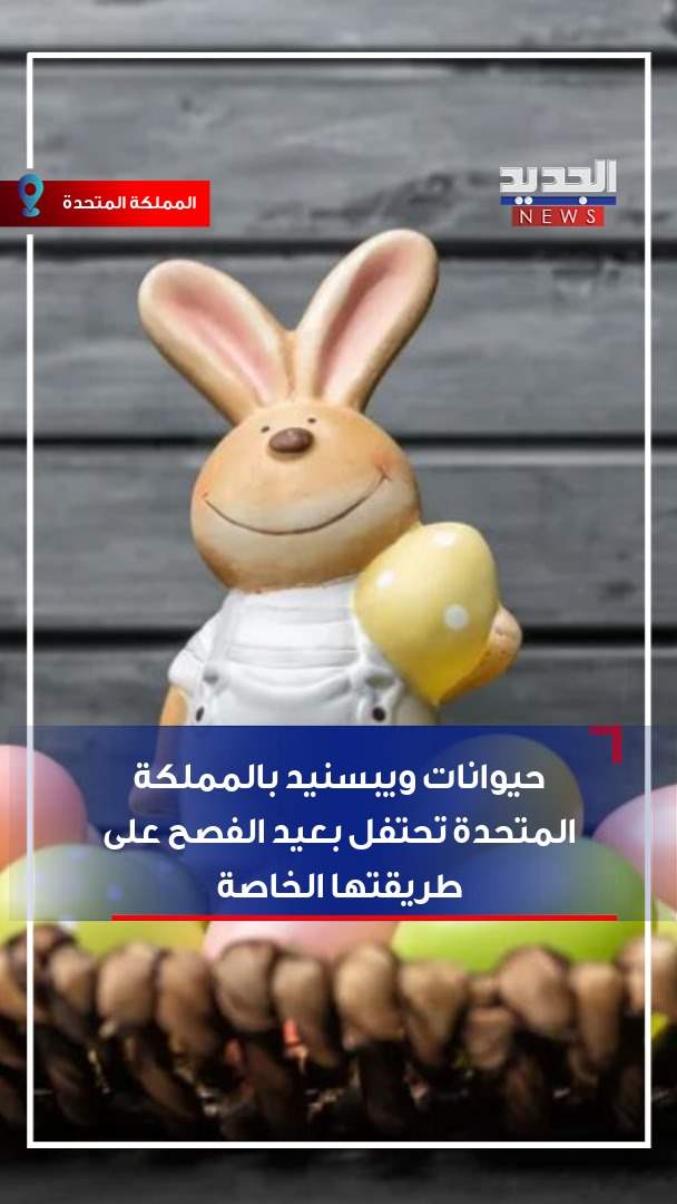 في عيد الفصح.. حيوانات &quot;ويبسنيد&quot; بالمملكة المتحدة تحتفل على طريقتها 