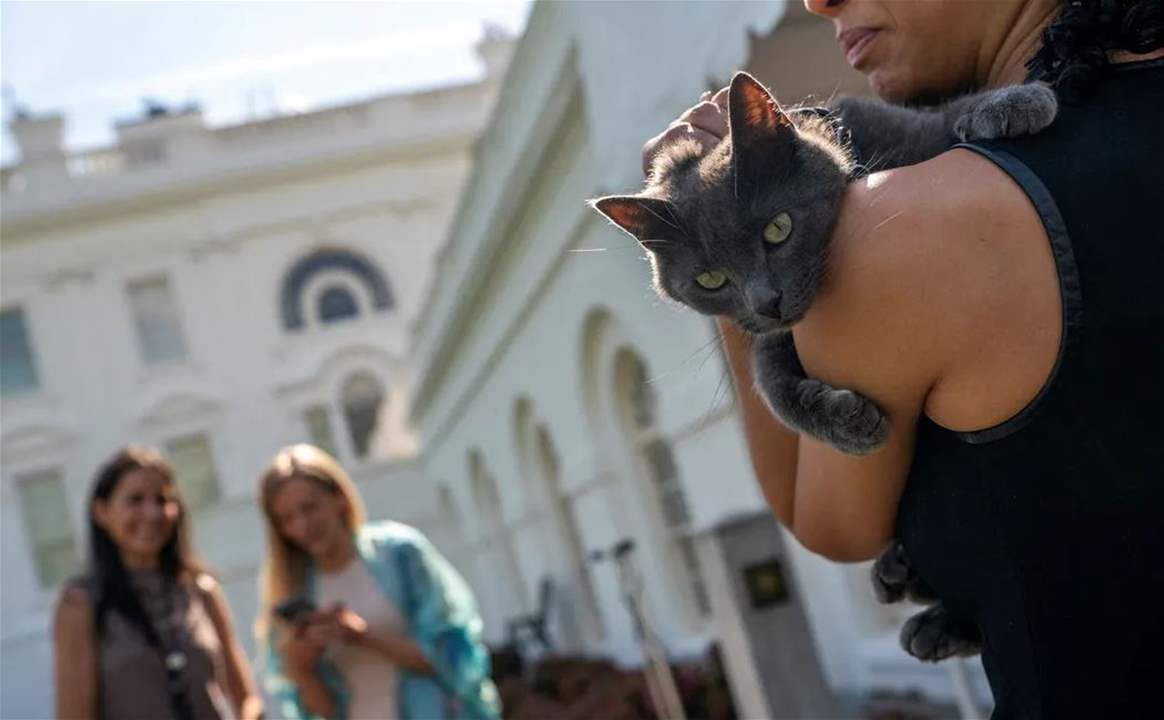 بالصور.. قطة تثير ضجة في البيت الأبيض