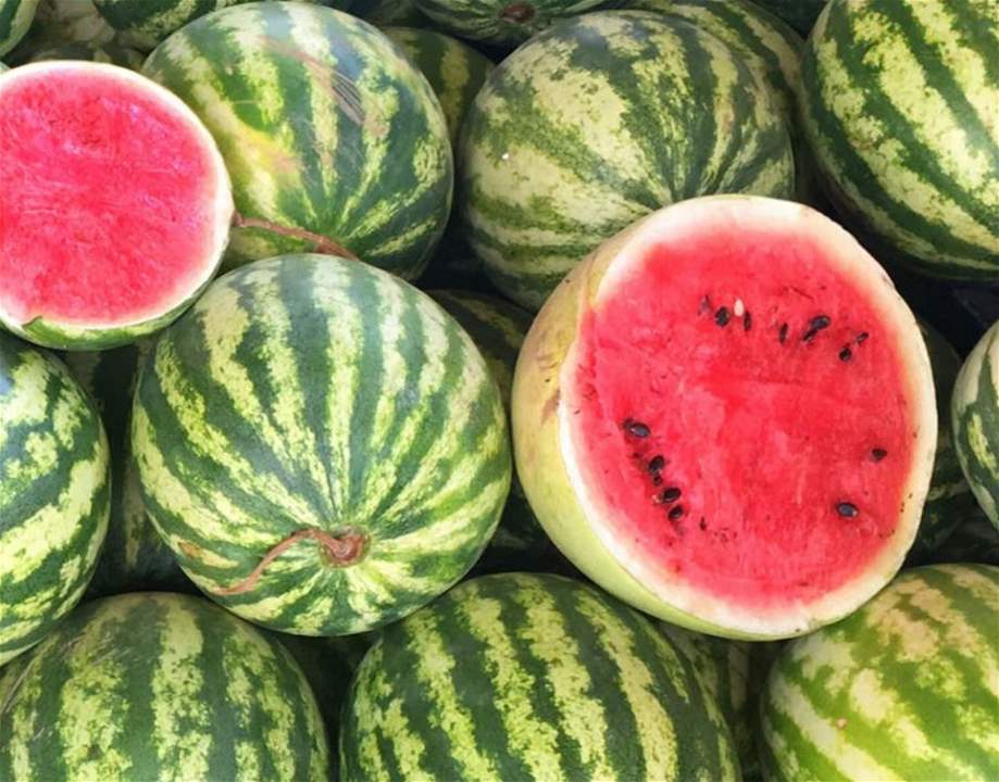 نهر من البطيخ في إيران (فيديو) 