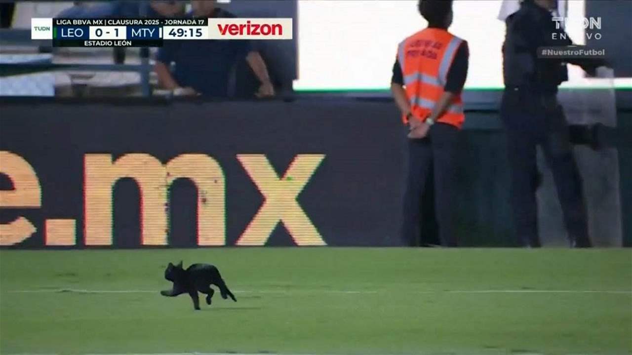 فيديو - القطة السوداء تتسبب بطرد خاميس وإصابة راموس