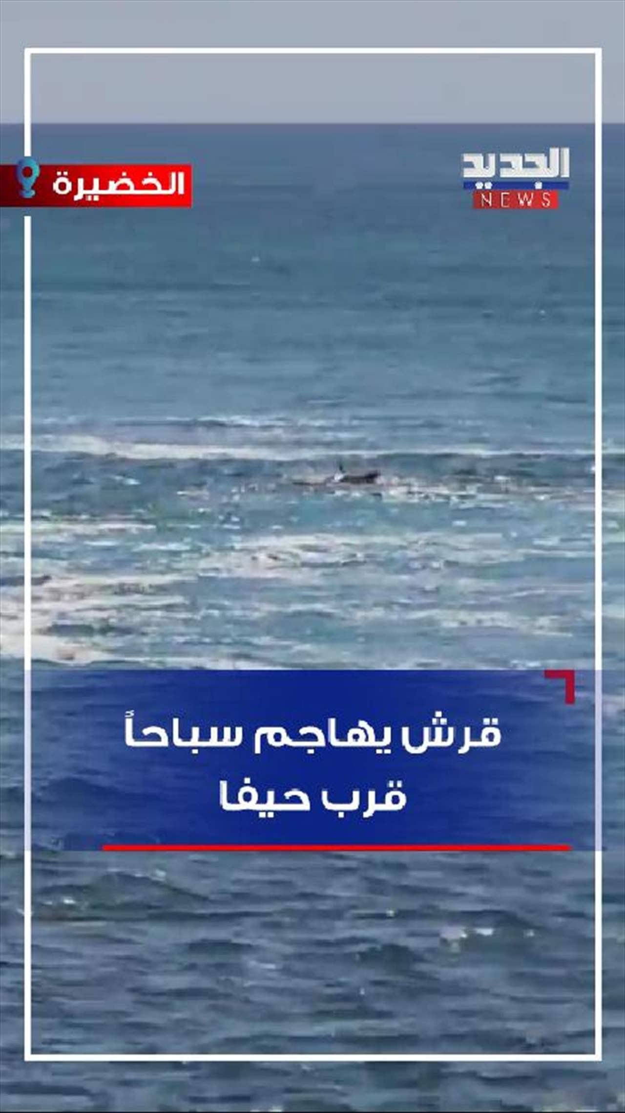 قرش يهاجم سباحاً قرب حيفا (فيديو)