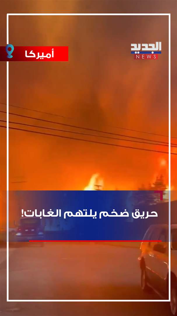 حريق ضخم يلتهم الغابات! (فيديو)
