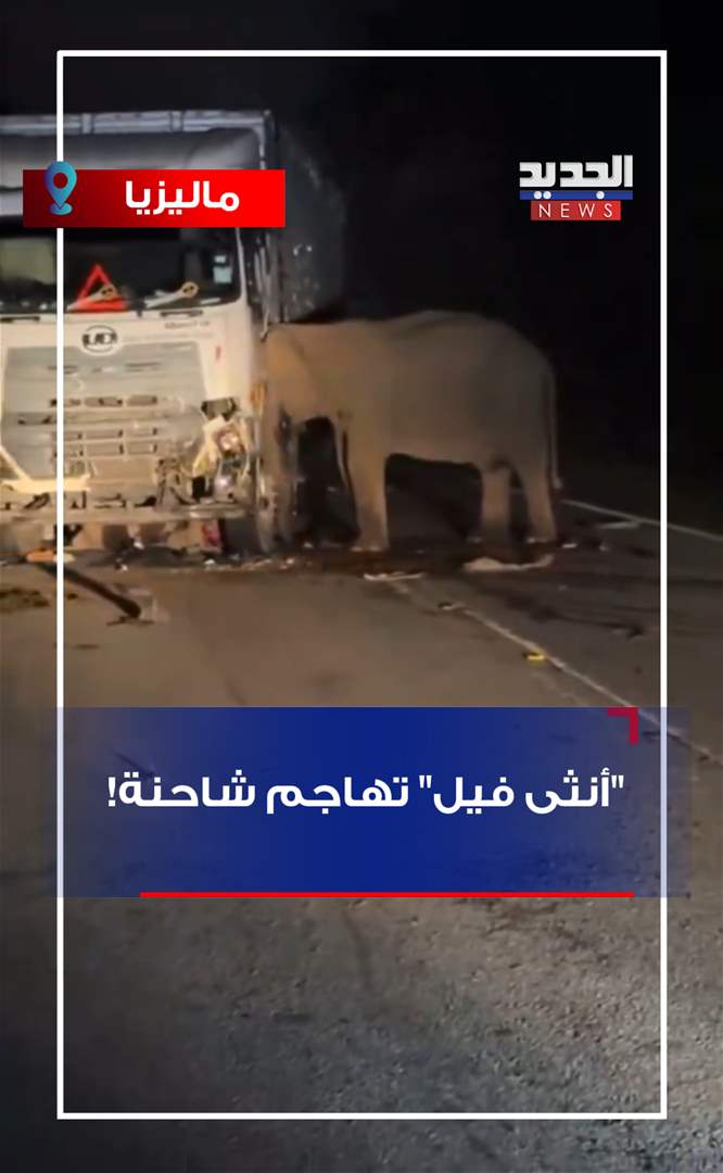 "أنثى فيل" تهاجم شاحنة! (فيديو)