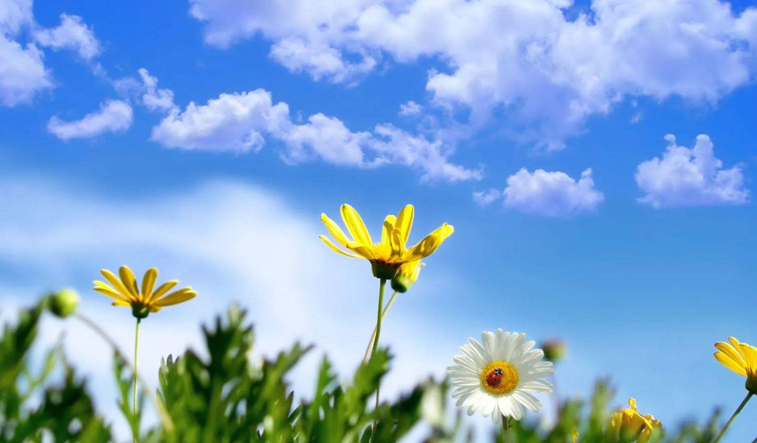 طقس لبنان: متى تنكفئ الكتل الحارة؟ 