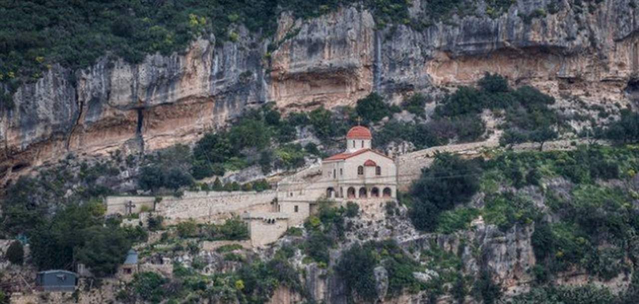 ماذا يفعل "آينشتاين" في الكورة؟ (صورة)