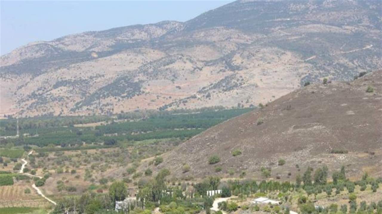 على "ظهر البغال" ومن سوريا إلى لبنان.. تهريب كمية ضخمة من المعسل والدخان! 