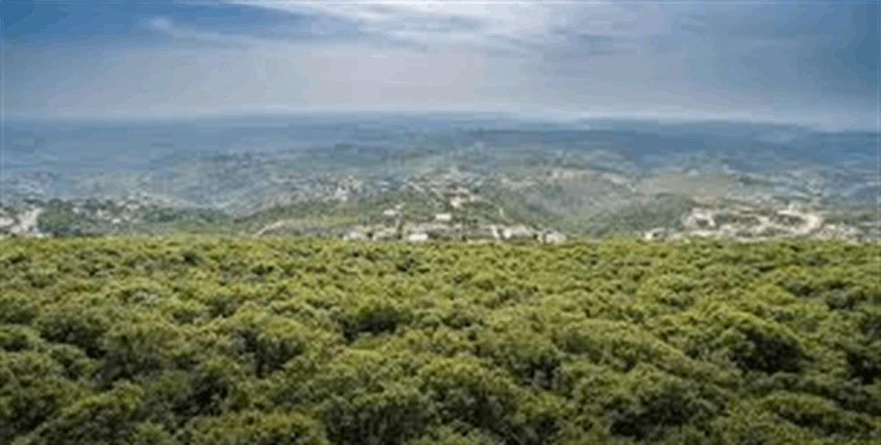 نائب في حزب الله يوجه رسالة للداخل والخارج! 