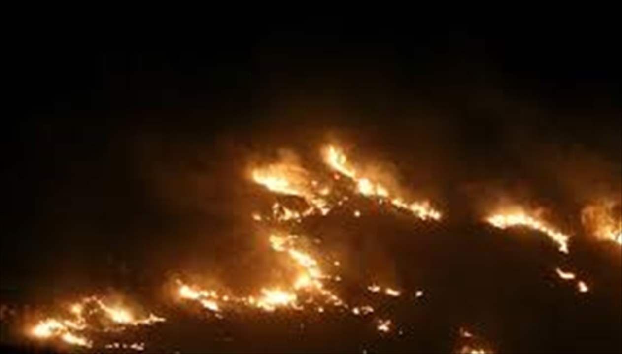 في الجنوب.. حريق كبير يطال بلدات عدة ومناشدات من الأهالي! 