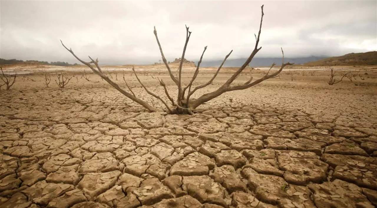  الجفاف يضرب بعلبك (تقرير إخباري) 