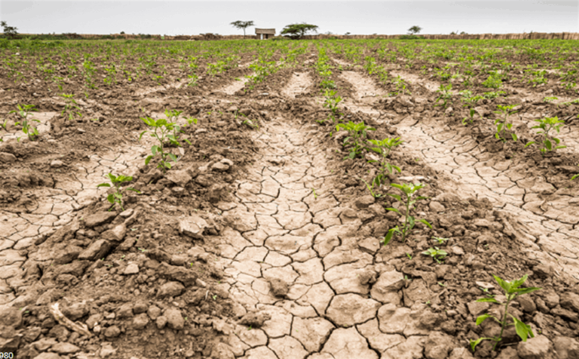 في البقاع.. نبع "جاف" وصورة تنذر بالخطر! 
