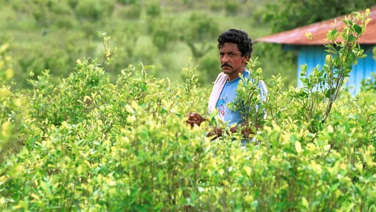  25 مليون متعاطٍ للمخدرات خلال عام