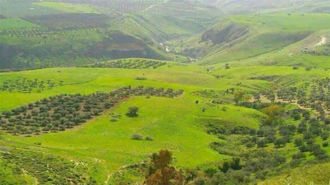 مناشدات للرؤساء الثلاثة.. "مزارع شبعا لبنانية"! 