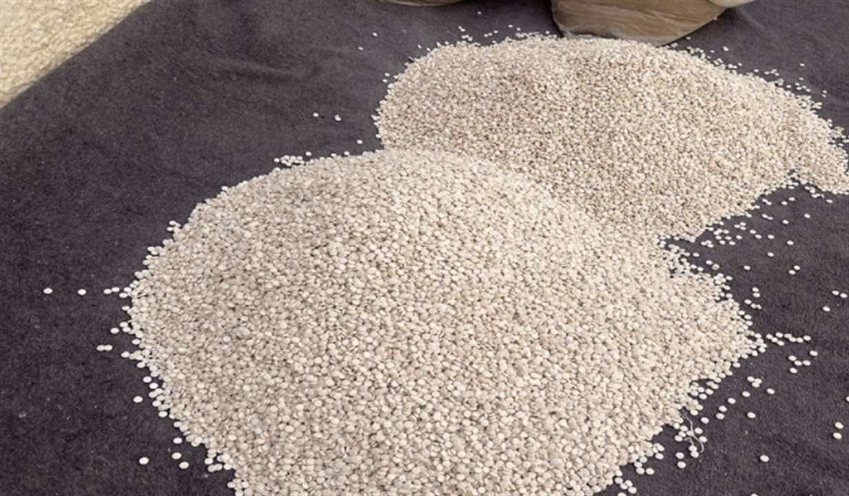 سوريا تعلن ضبط ثلاثة ملايين قرص كبتاغون