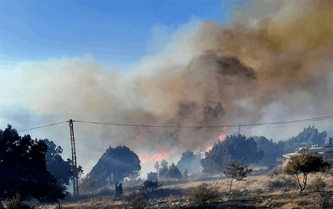 حريق القبيات.. أضرار بالغة بالبيئة والثروة الحرجية 