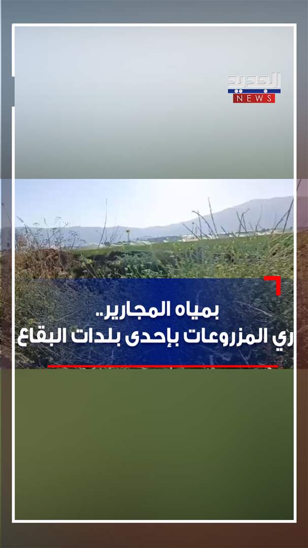 بمياه المجارير.. ري المزروعات بإحدى بلدات البقاع (فيديو)