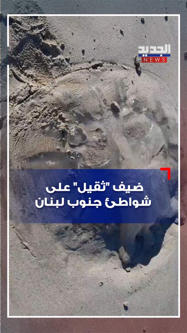 ضيف &quot;ثقيل&quot; على شواطىء جنوب لبنان (فيديو)