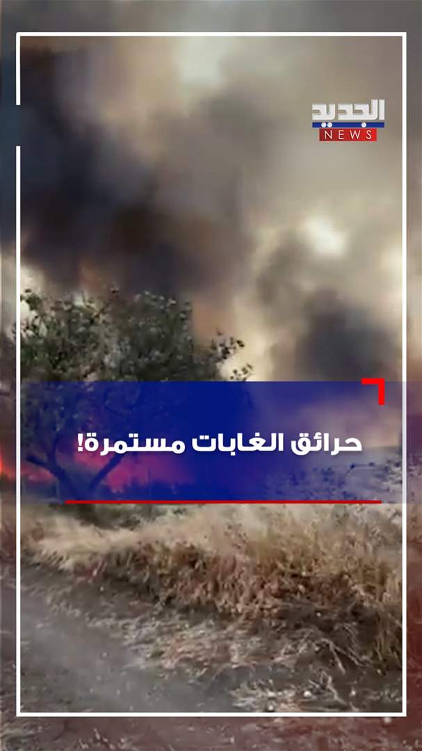 حرائق الغابات مستمرة! (فيديو)