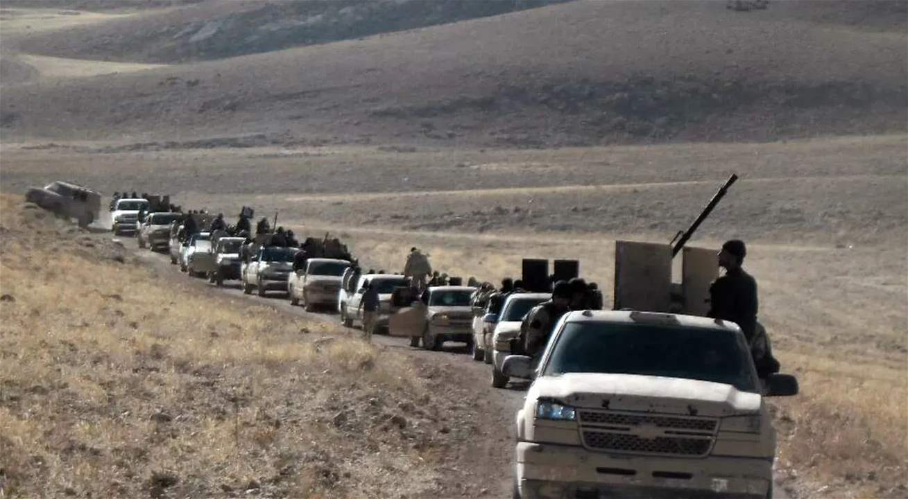 مجموعات مسلحة تحتشد قرب حدود لبنان؟ (فيديو)