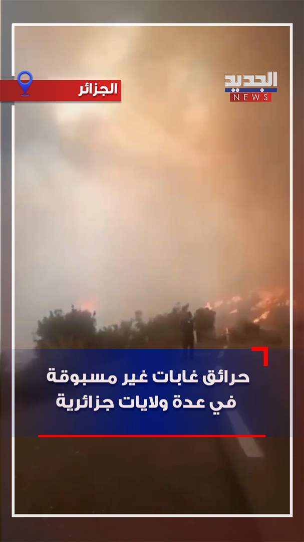 حرائق غابات غير مسبوقة في عدة ولايات جزائرية (فيديو)