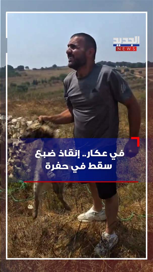 في عكار.. إنقاذ ضبع سقط في حفرة! (فيديو)