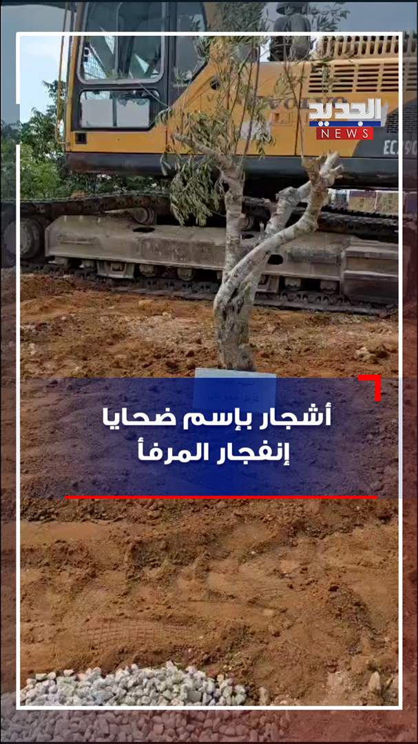 أشجار بإسم ضحايا إنفجار المرفأ! (فيديو)