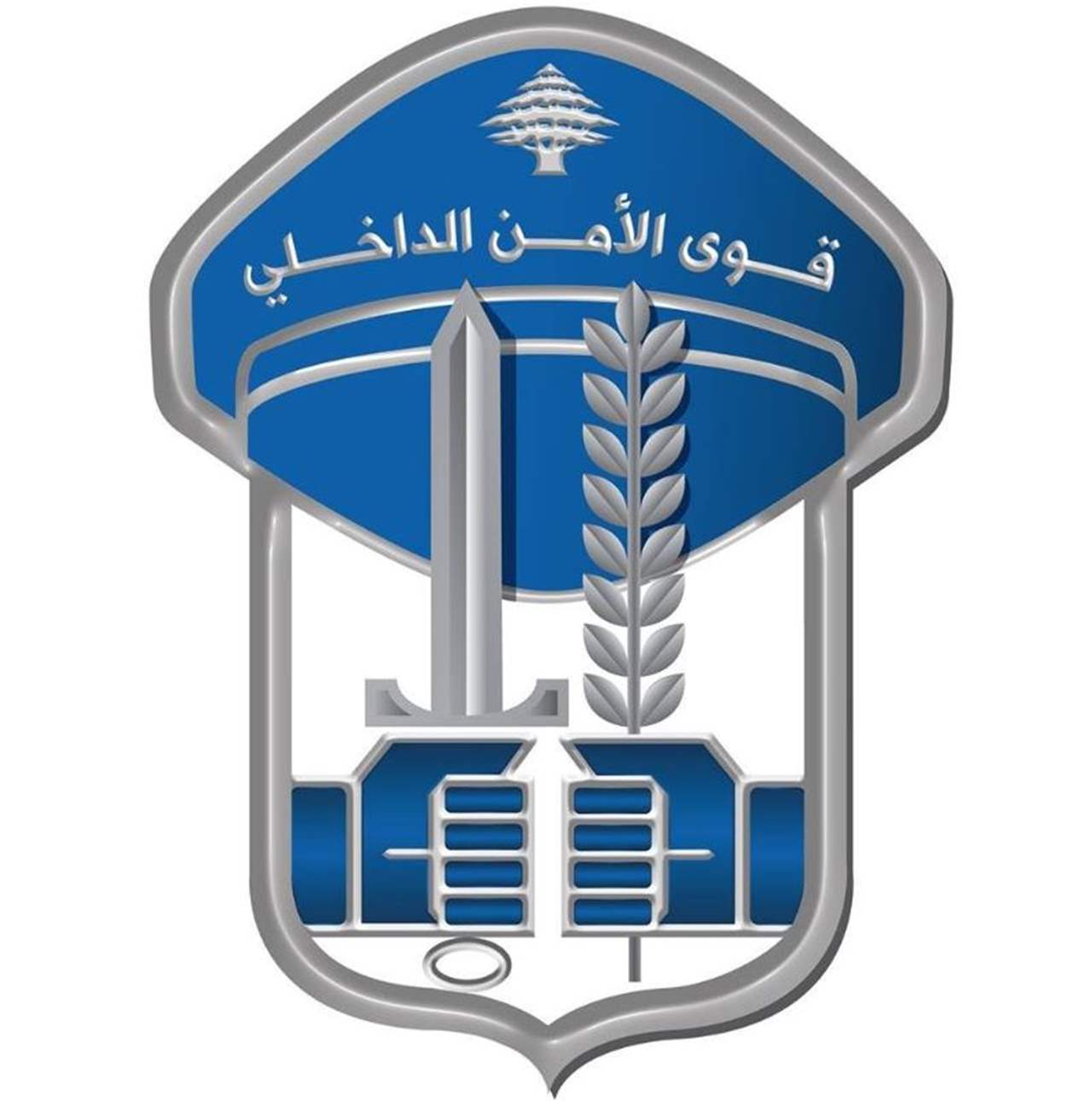 بالجرم المشهود.. قوى الأمن الداخلي توقف مروّج مخدرات