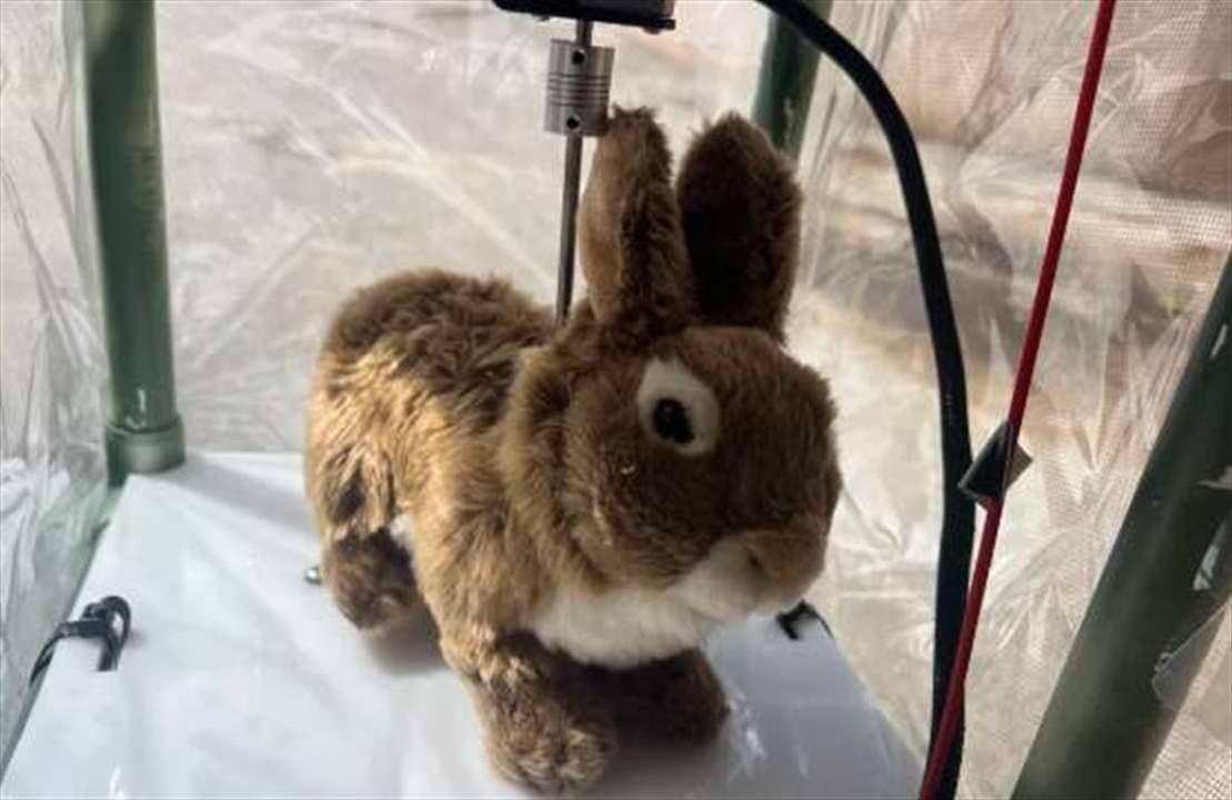 أرانب روبوتيّة لإصطياد الثعابين الخطرة!