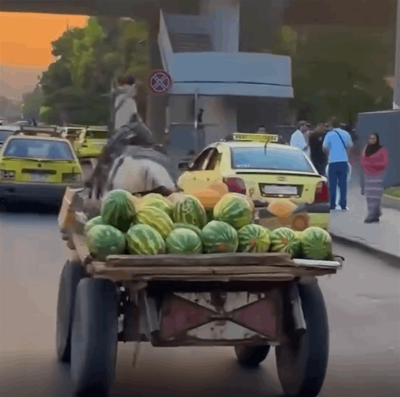 هرب بعربة بطيخ.. حصان &quot;داشر&quot; في دمشق!  