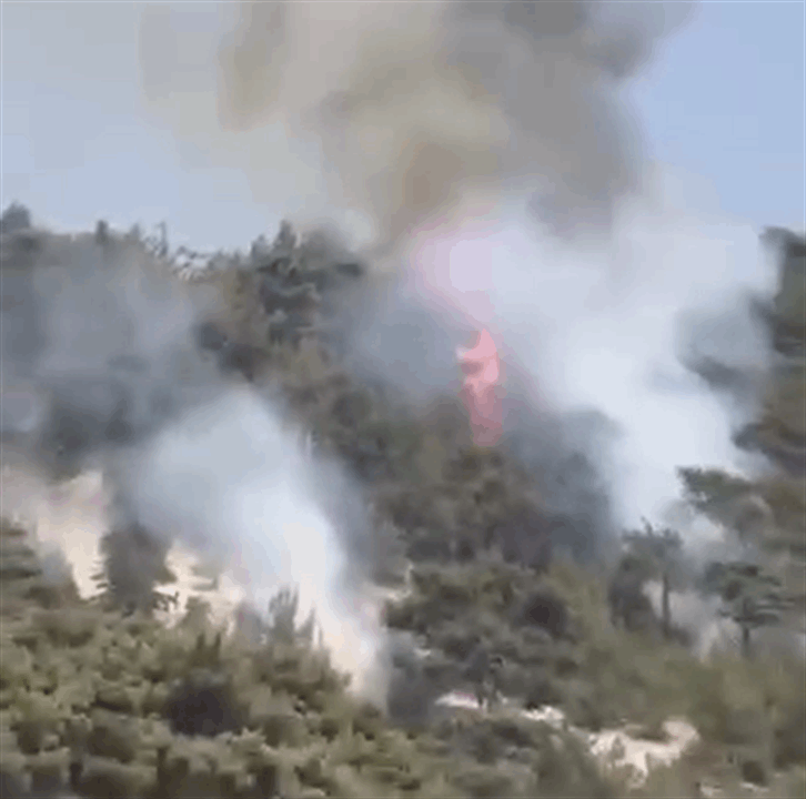 كارثة بيئية تشتعل في قلب عكار.. القموعة تحترق