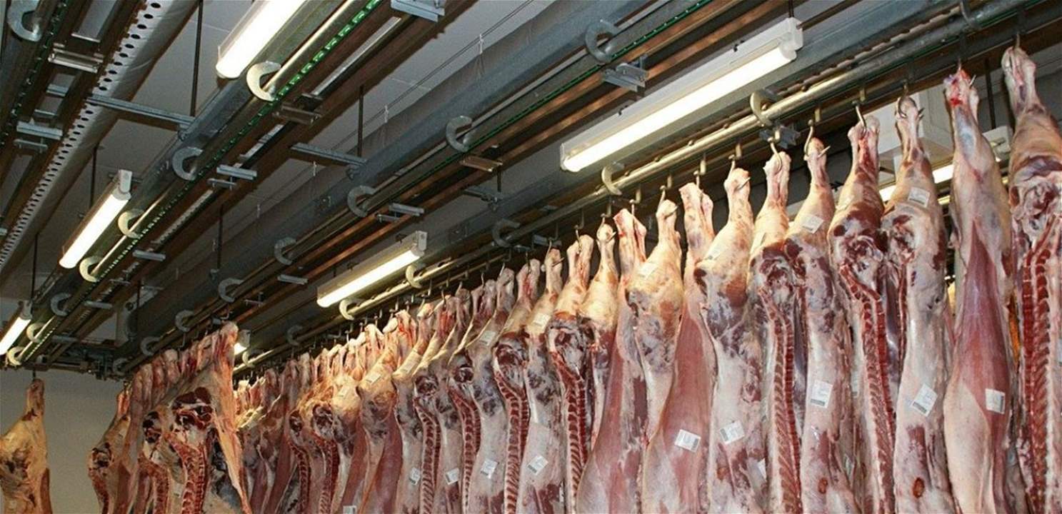 قوارض وحشرات.. إقفال مسلخ في صيدا