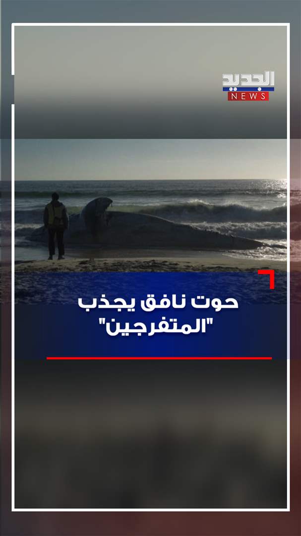 حوت نافق يجذب &quot;المتفرجين&quot; (فيديو) 