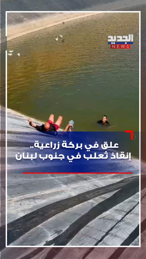 إنقاذ ثعلب احتُجز في بركة زراعية في مجدل سلم (فيديو) 