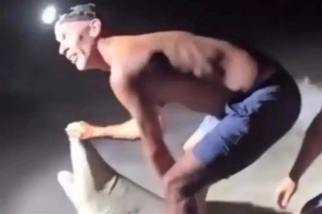 فيديو - هجوم قرش على صياد أثناء محاولة التقاط صورة معه