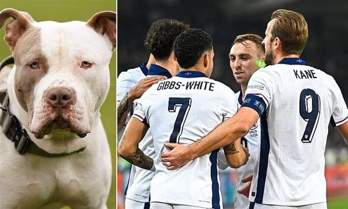 نجم إنجلترا يواجه المحكمة بسبب كلب XL Bully