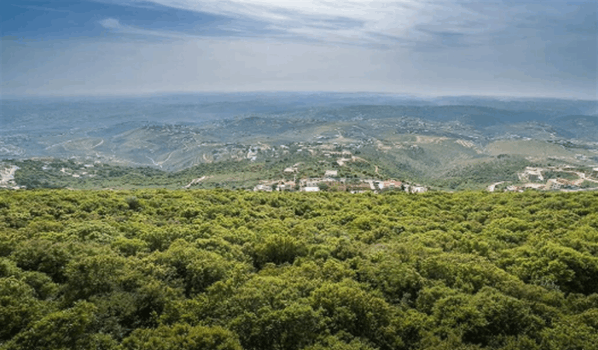 نائب في &quot;حزب الله&quot;: المقاومة لم تعُد خياراً