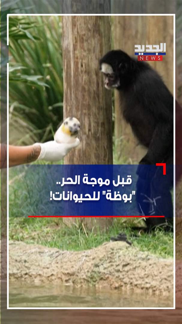 قبل موجة الحر.. &quot;بوظة&quot; للحيوانات! (فيديو)