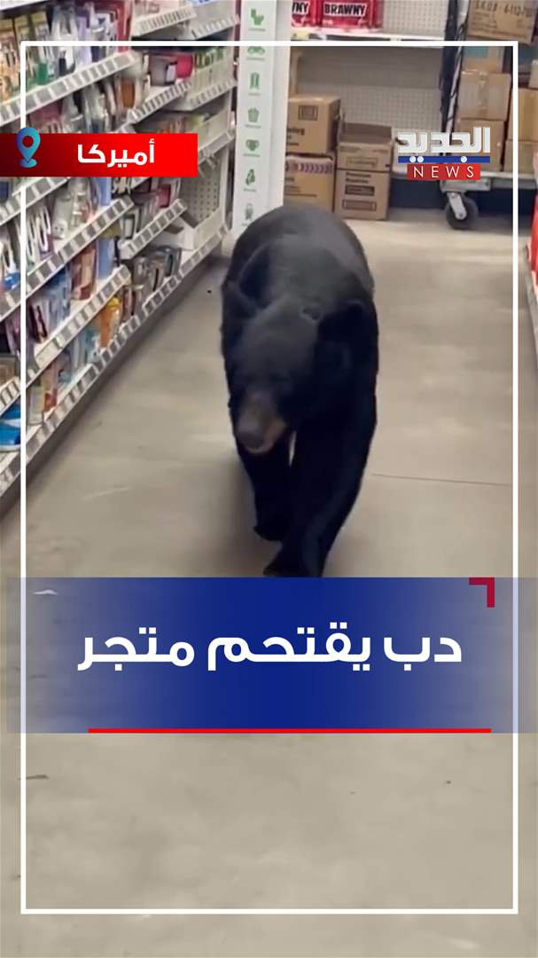 دب يقتحم متجر (فيديو)