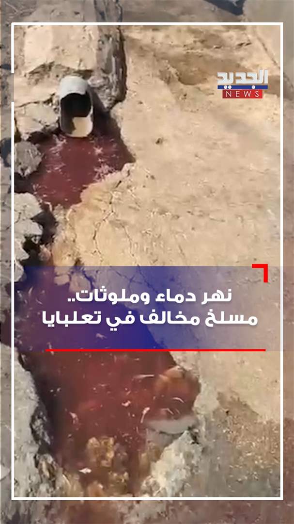 نهر دماء وملوثات.. مسلخ مخالف في تعلبايا (شاهد الفيديو)