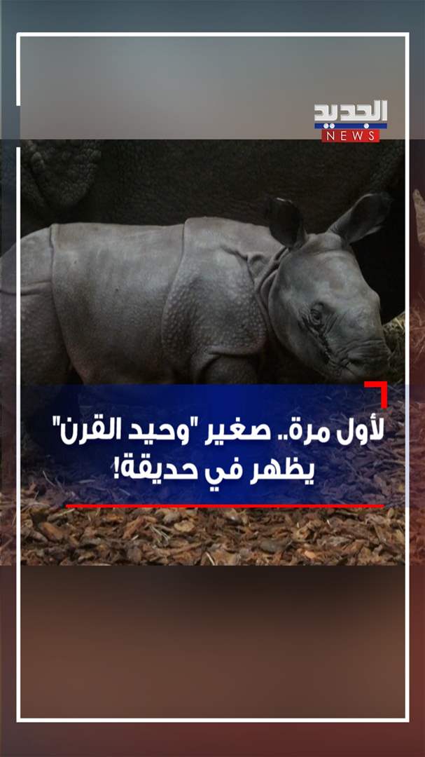 لأول مرة.. صغير &quot;وحيد القرن&quot; يظهر في حديقة! (فيديو)