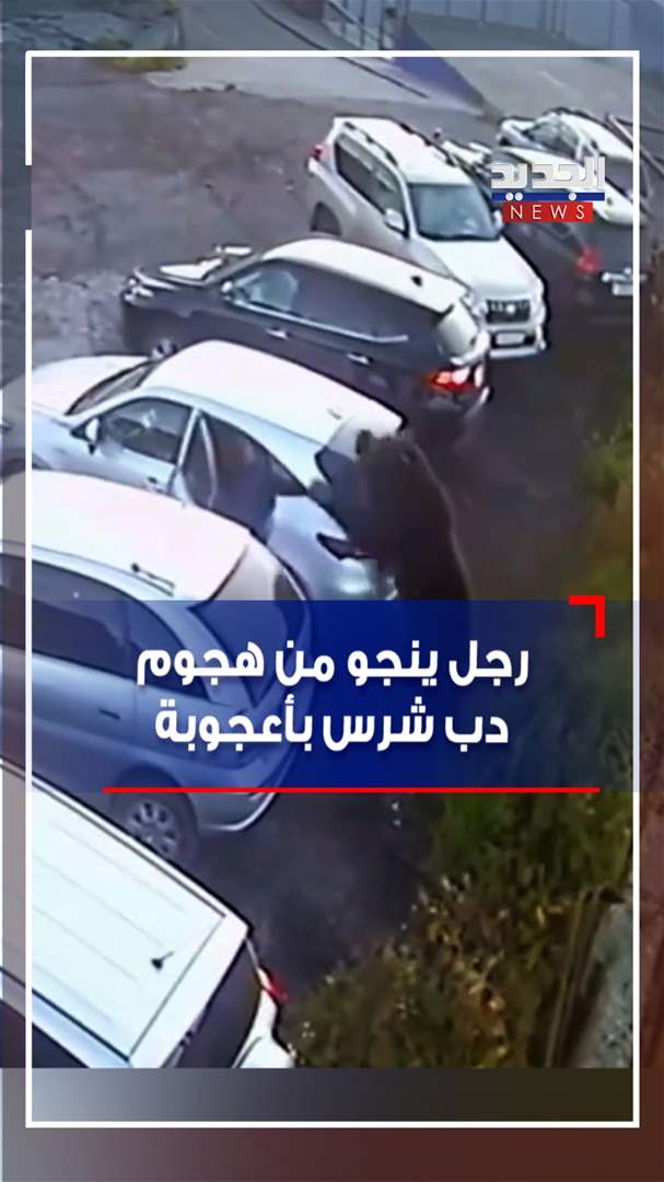 في روسيا.. رجل ينجو من هجوم دب شرس بأعجوبة (فيديو)