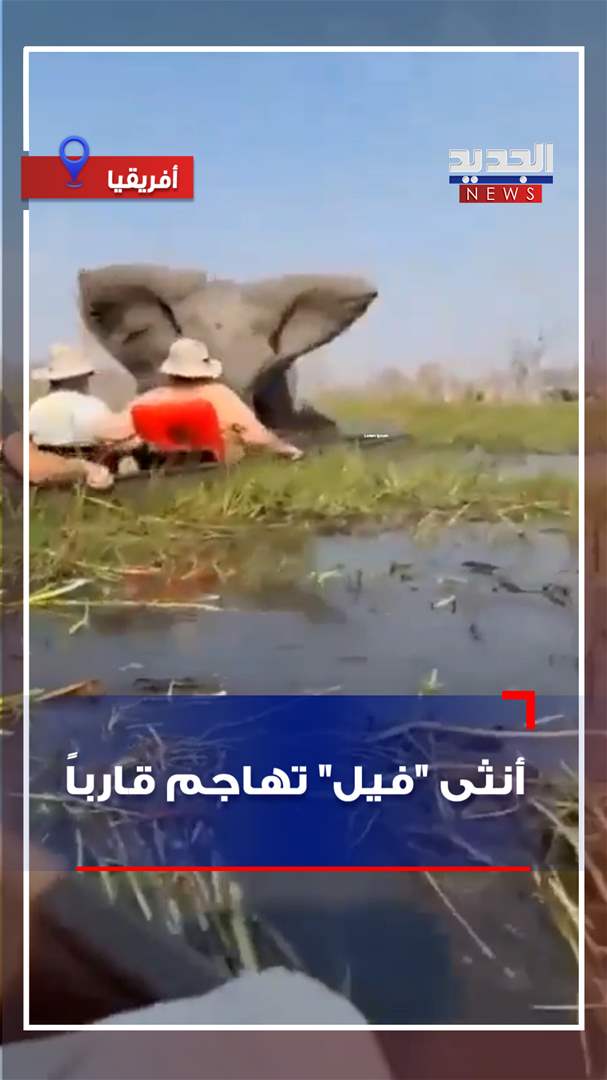 أنثى &quot;فيل&quot; تهاجم قارباً (فيديو)