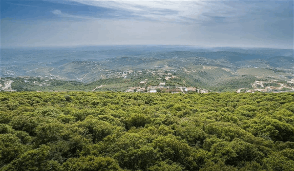 تصعيدٌ مقبل.. وهذه السيناريوهات! 