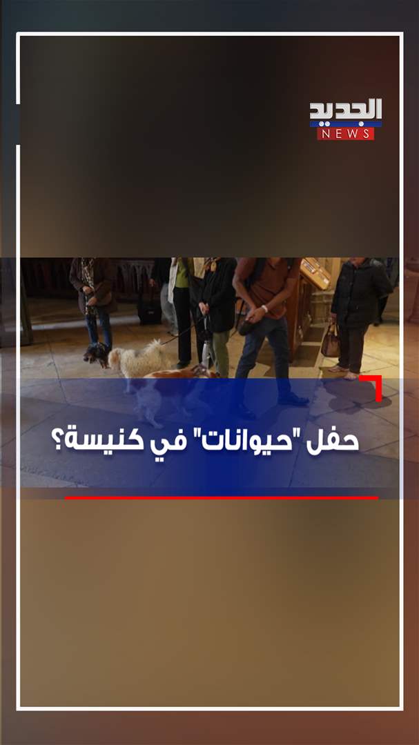 حفل &quot;حيوانات&quot; في كنيسة؟ (فيديو)