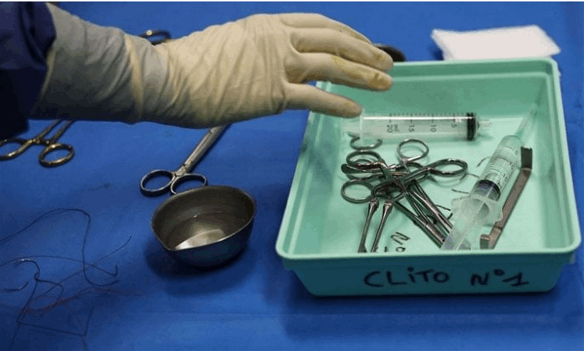 للمرة الأولى.. كبد خنزير في جسد إنسان 