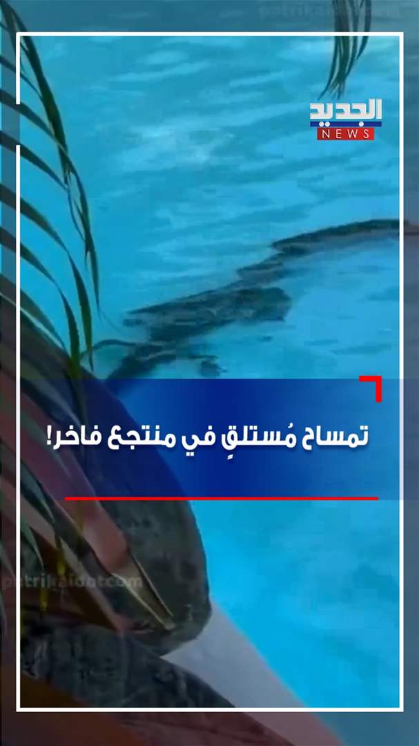 تمساح مُستلقٍ في منتجع فاخر! (فيديو)