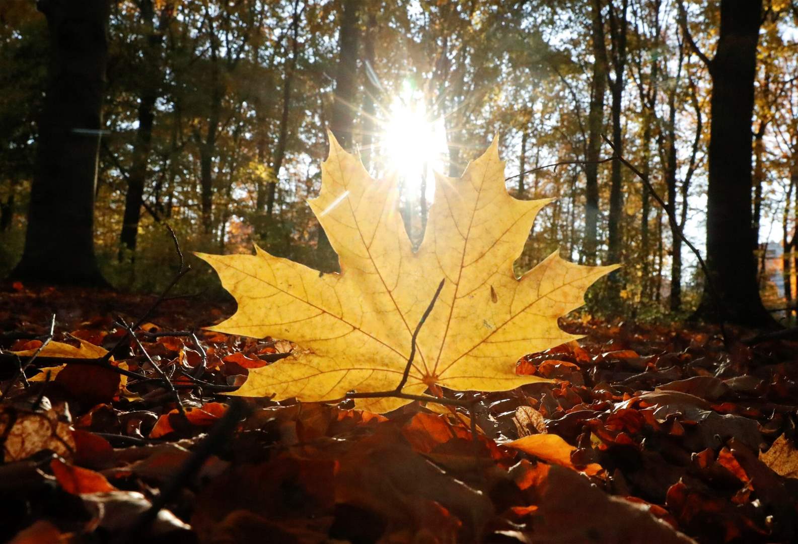&quot;صيف تاني&quot;... ماذا يخبئ طقس الأيام المقبلة؟ 