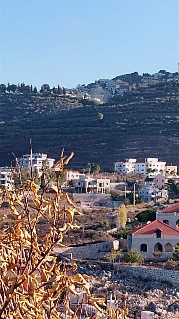 بالفيديو.. غارة من مسيّرة تستهدف بلدة عين قانا 