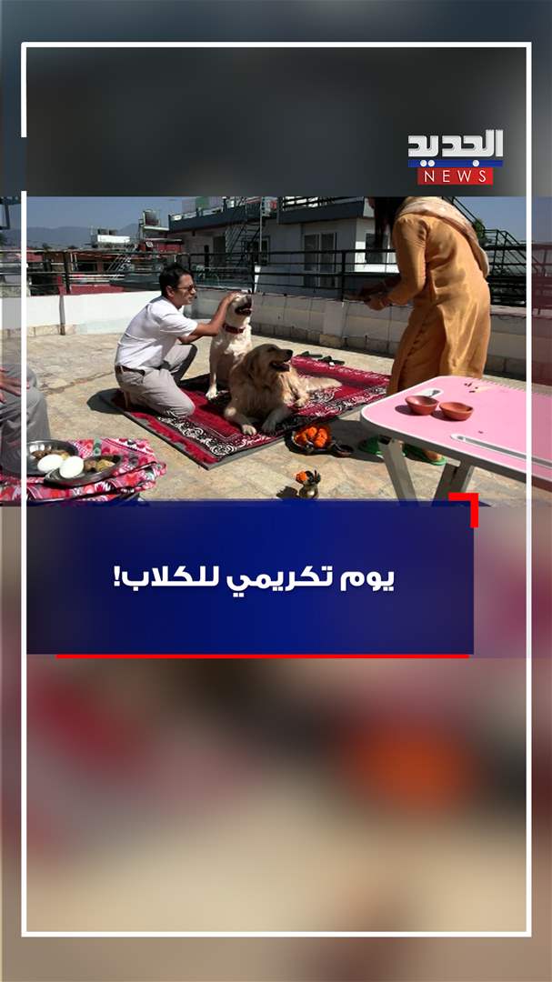 مهرجان تكريمي للكلاب! (فيديو)