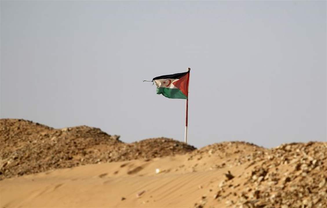 حكم ذاتي في الصحراء الغربية.. مجلس الأمن يُصوّت