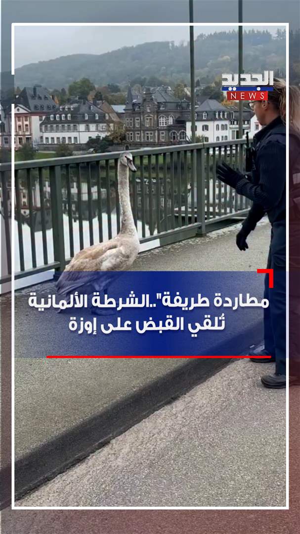 مطاردة طريفة&quot;..الشرطة الألمانية تُلقي القبض على إوزة (فيديو) 
